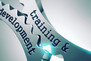 Read more about: Why is Training and Development Important?