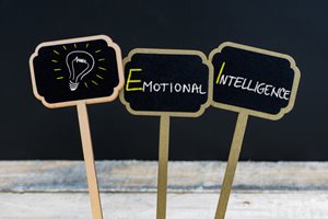Read more about: Why Emotional Intelligence is Important in the Workplace
