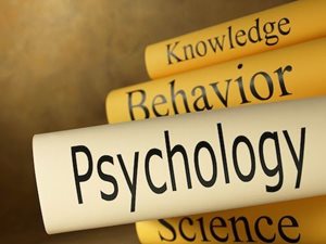 Read more about: What Jobs Can I Get With a Degree in Psychology?
